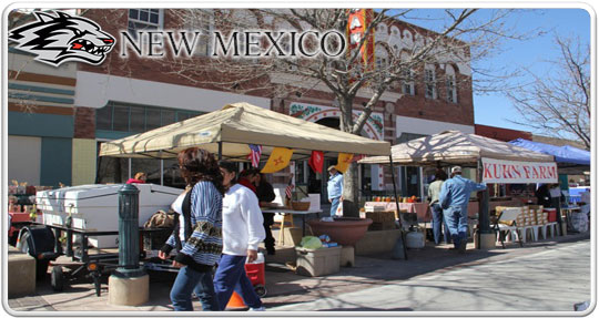 Las-Cruces city logo banner