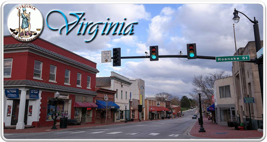 Roanoke city logo banner