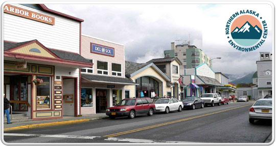 Sitka City city logo banner