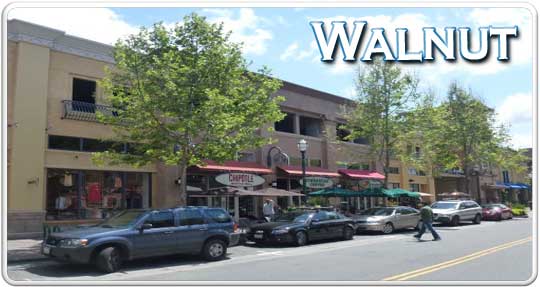 Walnut city logo banner